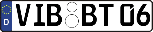 VIB-BT06