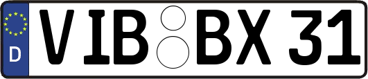 VIB-BX31