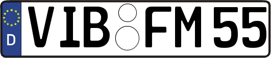 VIB-FM55