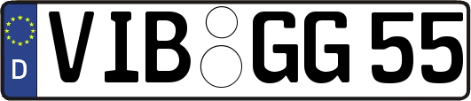 VIB-GG55