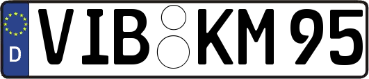 VIB-KM95
