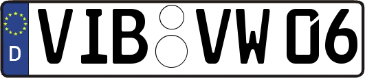 VIB-VW06