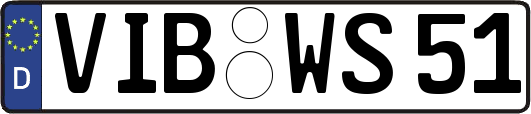 VIB-WS51