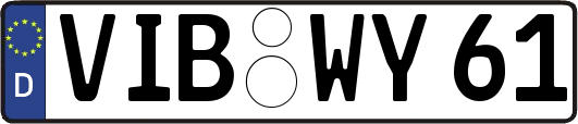 VIB-WY61