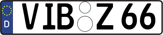 VIB-Z66