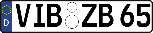 VIB-ZB65