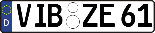 VIB-ZE61