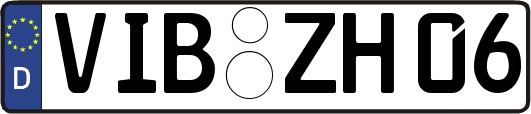 VIB-ZH06