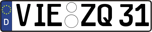 VIE-ZQ31