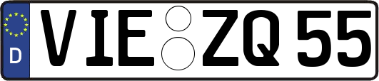 VIE-ZQ55