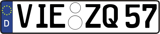VIE-ZQ57