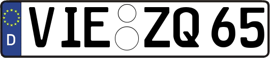 VIE-ZQ65
