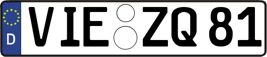VIE-ZQ81