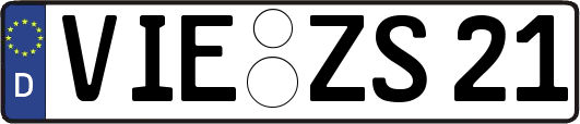 VIE-ZS21