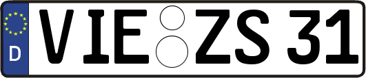VIE-ZS31