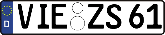 VIE-ZS61