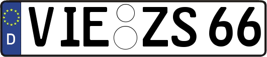 VIE-ZS66