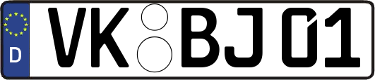 VK-BJ01