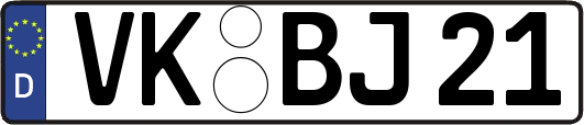VK-BJ21