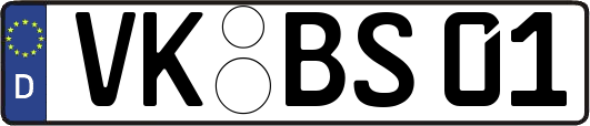 VK-BS01