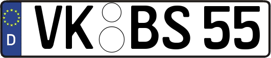 VK-BS55