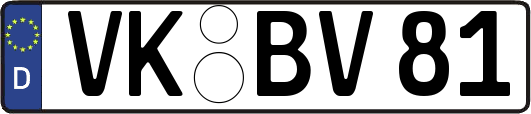 VK-BV81