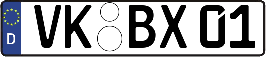 VK-BX01