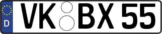 VK-BX55