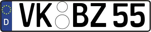 VK-BZ55