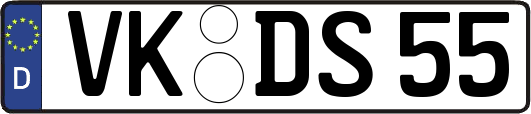 VK-DS55