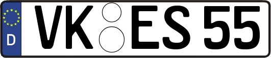 VK-ES55