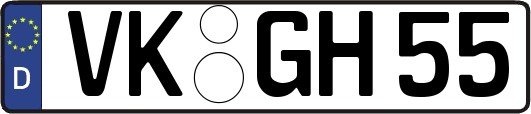 VK-GH55
