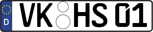 VK-HS01