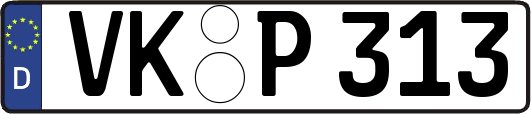 VK-P313