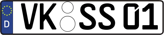 VK-SS01