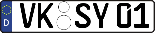 VK-SY01