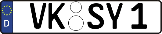 VK-SY1