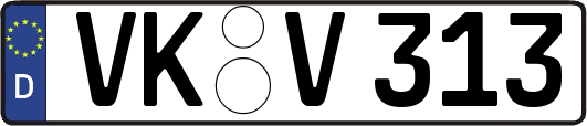 VK-V313