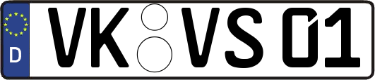 VK-VS01