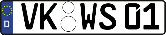 VK-WS01