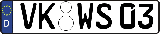 VK-WS03