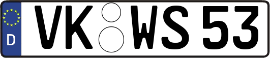 VK-WS53