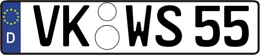 VK-WS55