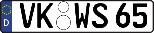 VK-WS65