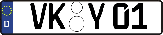 VK-Y01