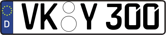 VK-Y300