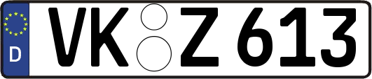 VK-Z613
