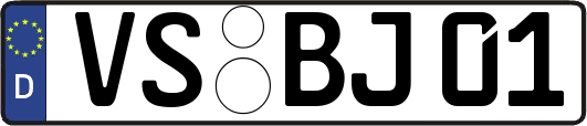 VS-BJ01
