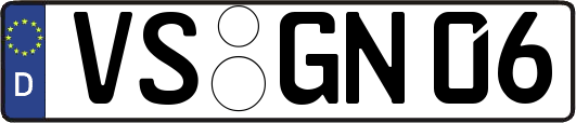 VS-GN06