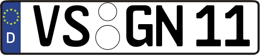VS-GN11